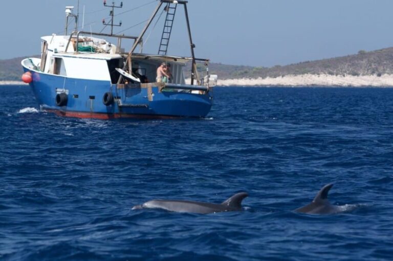 Marbella: Dolphin Watching Boat Tour - The Sum Up