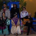Marbella: Flamenco Show with a Drink - What Makes It Special?
