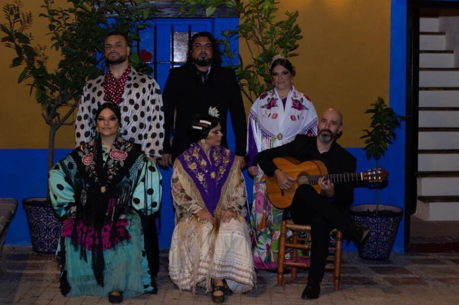Marbella: Flamenco Show with a Drink - What Makes It Special?