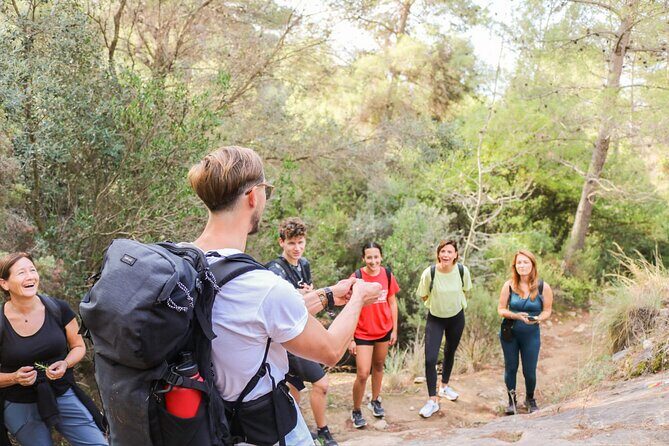 Marbella Guided Hiking and Foraging Adventure - Authentic Experiences From Travelers