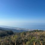 Marbella: "La Concha" mountain tour including snack and drink - Setting the Scene: From Marbella to the Base of La Concha