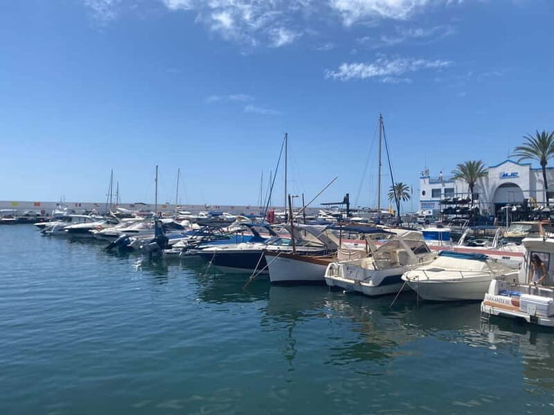 Marbella: Private premium eBike tour to Puerto Banus incl. cafe - Who Will Love This Tour?