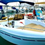 Marbella Self Drive Boat Rental with Dolphin Sighting - Pricing and Value Analysis