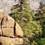 Marbella: Sierra de las Nieves National Park Hiking Day Trip - An In-depth Look at the Sierra de las Nieves Hiking Day Trip