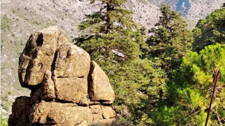 Marbella: Sierra de las Nieves National Park Hiking Day Trip - An In-depth Look at the Sierra de las Nieves Hiking Day Trip