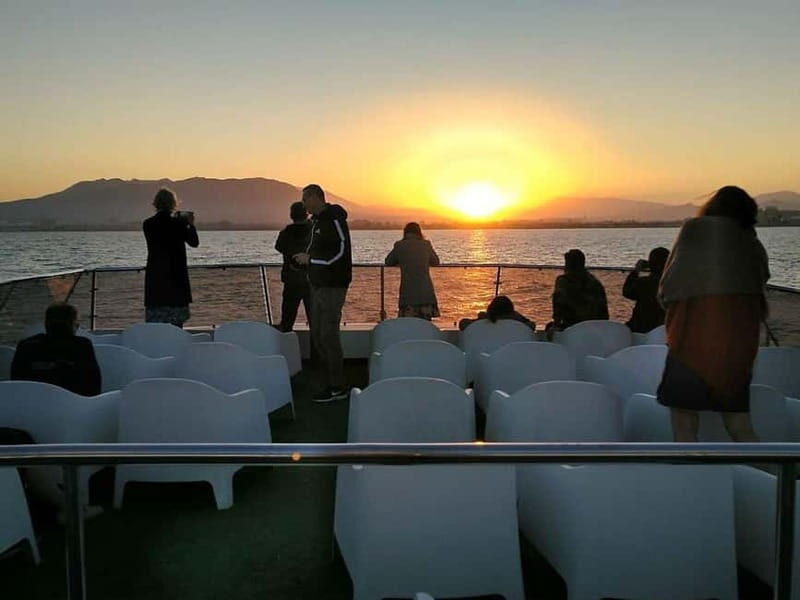 Marbella: Sunset Catamaran Trip - Who Will Love This Tour?