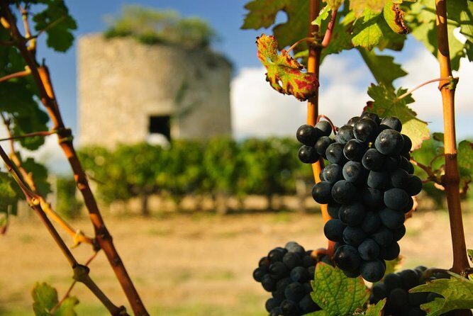 Margaux & Médoc: half day private tour in a classic car - Final Thoughts