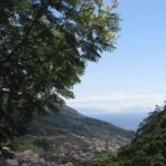 Maroços Mimosa Valley Levada Walk from Funchal - FAQs