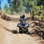 Masca Valley Guided Buggy Tour. Small Group. - Who Would Love This Tour?