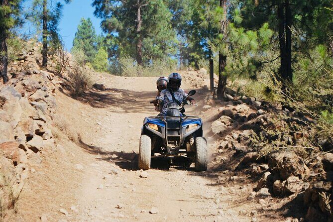 Masca Valley Guided Buggy Tour. Small Group. - Who Would Love This Tour?