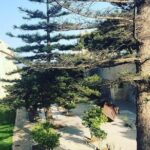Mdina and Rabat Walking Tour inc. Catacombs and St. Paul's Grotto - The Sum Up