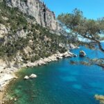 Mediterranean Dream : Cassis, Calanques Boat Ride & Appetizer - Authentic Experiences and Hidden Gems