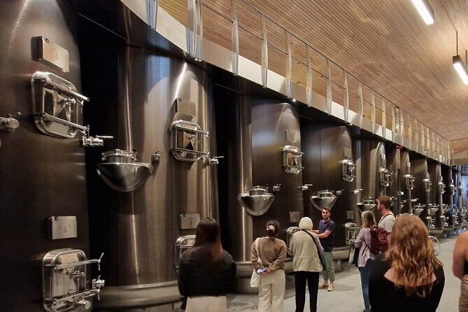 Medoc Afternoon Wine Tour - 2 Wineries, tastings & delicacies - Final Thoughts