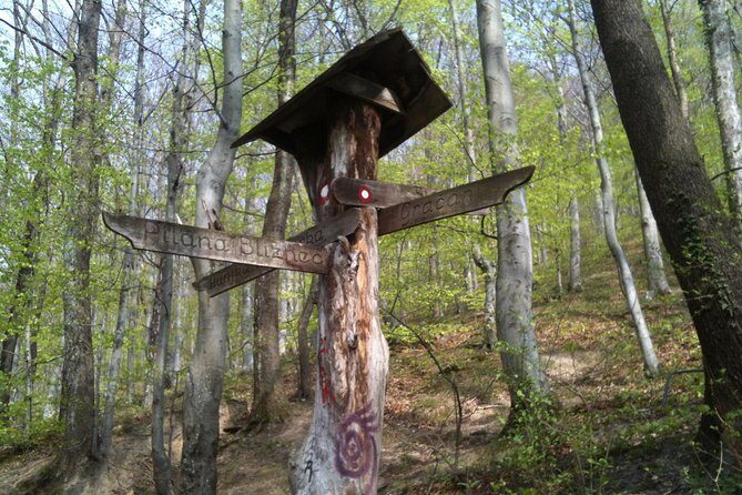 Medvednica Hiking and Chestnuts Picking Tour from Zagreb - Authentic Experience in a Natural Setting