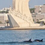 Meet the Lisbon Dolphins - Dolphin Watching in Lisbon - Wildlife Sightings — What’s Common and What’s a Bonus