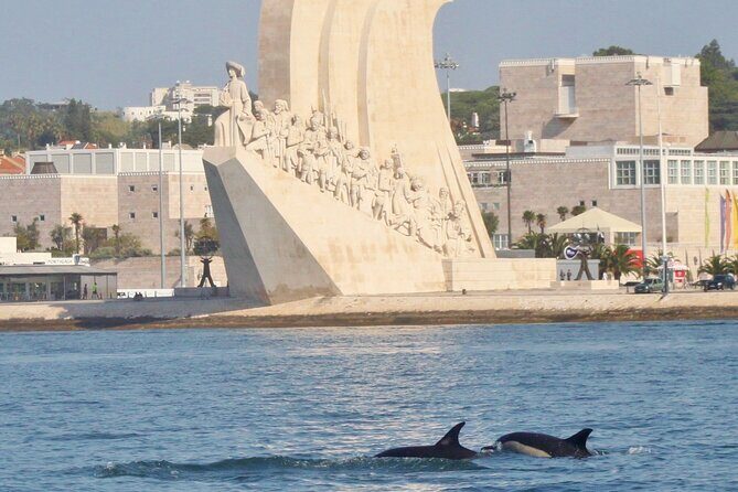 Meet the Lisbon Dolphins - Dolphin Watching in Lisbon - Wildlife Sightings — What’s Common and What’s a Bonus