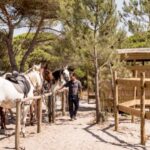 Melides: Horse Riding on the Beach with Wine Tasting - Post-Ride Indulgence: Wine or BBQ