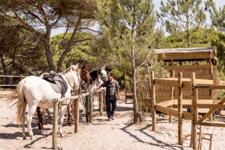 Melides: Horse Riding on the Beach with Wine Tasting - Post-Ride Indulgence: Wine or BBQ