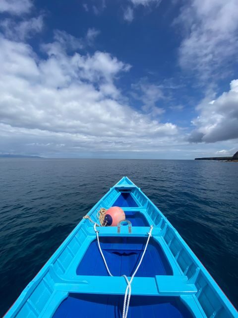 Memória Baleeira - Unforgetable Ride in the waters of Pico - Who Will Love This Experience?