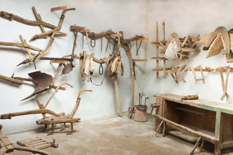 Menorca: Binissues & Natural Sciences Museum Ticket - Who Should Consider This Experience?