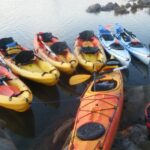 Menorca: Half-Day Kayak Excursion in Fornells - Who Should Consider This Tour?