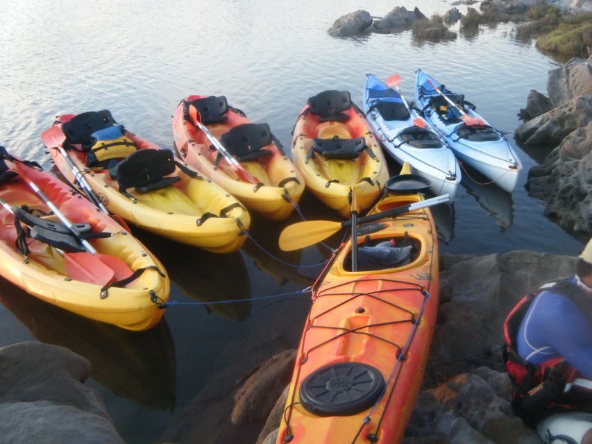 Menorca: Half-Day Kayak Excursion in Fornells - Who Should Consider This Tour?