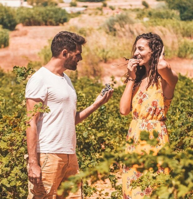 Minoan Luxuries: Ancient Palaces, Messara Wineries & Matala - In-Depth Review