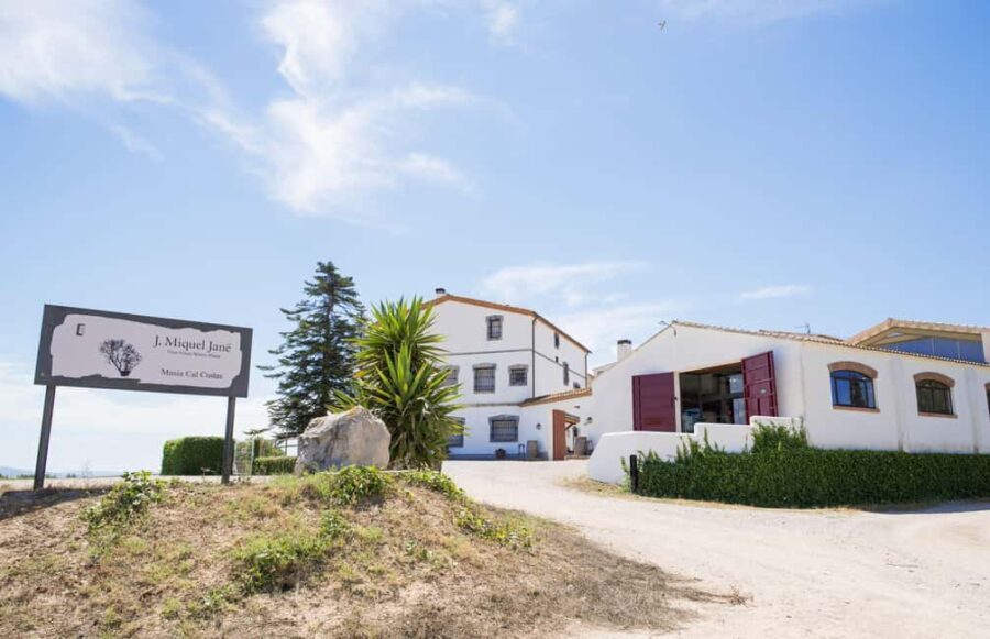 Miquel Jané Winery: tour with audio guide - FAQ