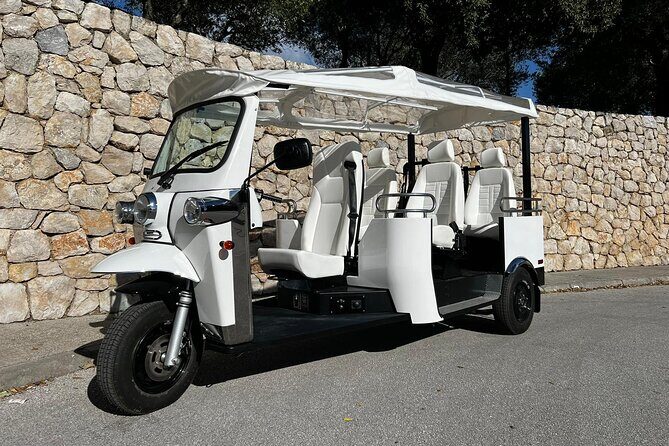 Mljet National Park E-Tuk Private Tour from Pomena - Polace and the Roman Palace (15 minutes, free admission)