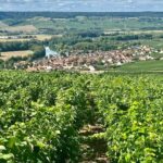 Moet et Chandon Pommery Pressoria Champagne Private trip - A Detailed Look at the Champagne Day Trip