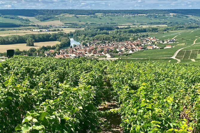Moet et Chandon Pommery Pressoria Champagne Private trip - A Detailed Look at the Champagne Day Trip