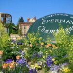 Moet et Chandon Veuve Clicquot Pommery Private Champagne Day trip - What We Think: The Balance of Value and Experience