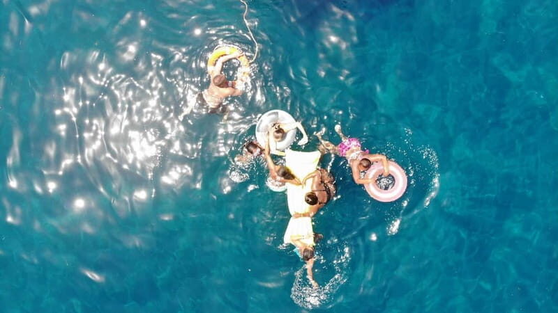 Mogan: Dolphin Watching Boat Trip with Swim Stop - Authentic Experiences and Real Insights from Travelers