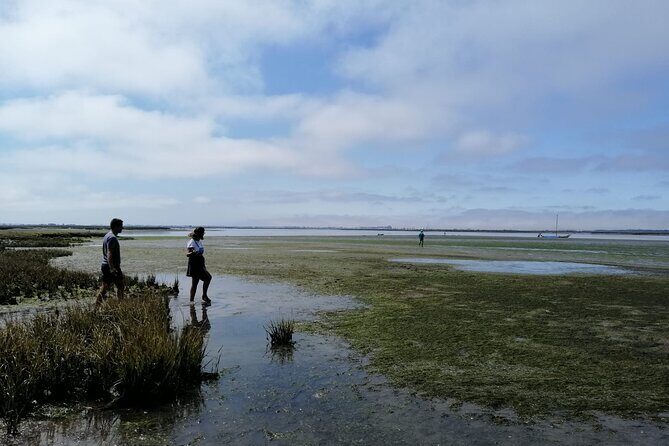 Moliceiro boat tour through the Ria de Aveiro! - Why This Tour Offers Great Value