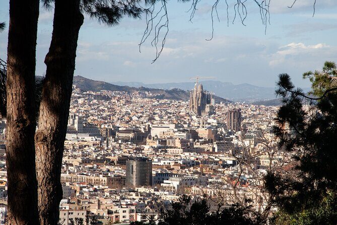 Montjuïc Walking Tour With Optional Flamenco Show - Practical Details: What to Expect