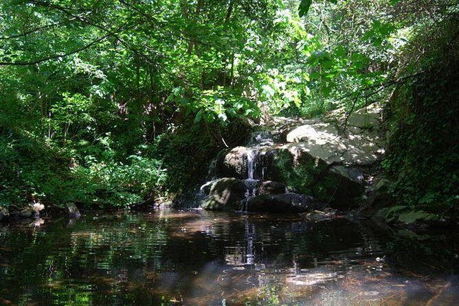 Montseny Guided Hiking Tour from Barcelona with Organic-friendly Lunch - Authentic Reviews Reinforce the Experience
