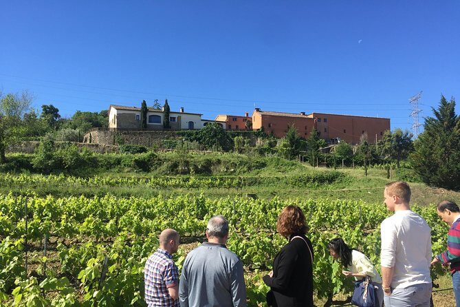 Montserrat & best winery private tour experience with a local expertise - Who Is This Tour Best For?