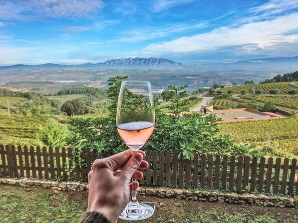 Montserrat Private Tour, Lunch & Wine Tasting in Penedes Winery - Who Will Love This Tour?
