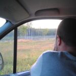Moose safari in the wild Sweden Tiveden - An In-Depth Look at the Itinerary
