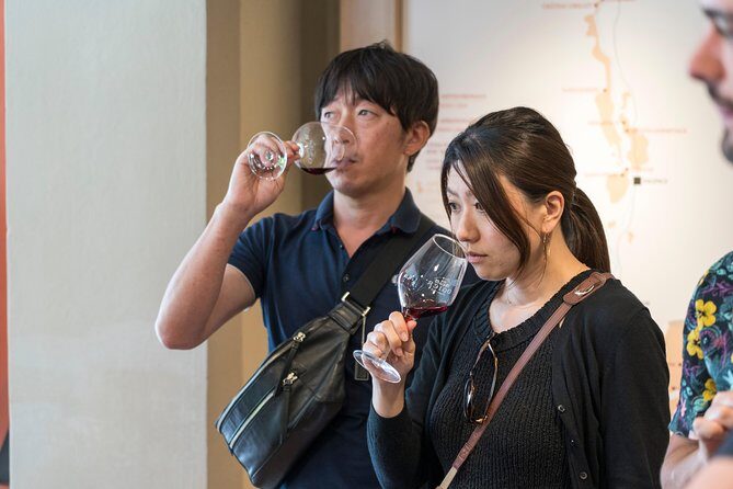 Morning Wine Tour to Chateauneuf du Pape from Avignon - Who Will Love This Tour?