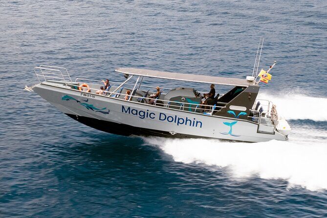 Morro Jable: 2 Hours Magic Dolphin & Whale watching with Drinks & Swim Stop. - Why this Tour Matters for Your Trip