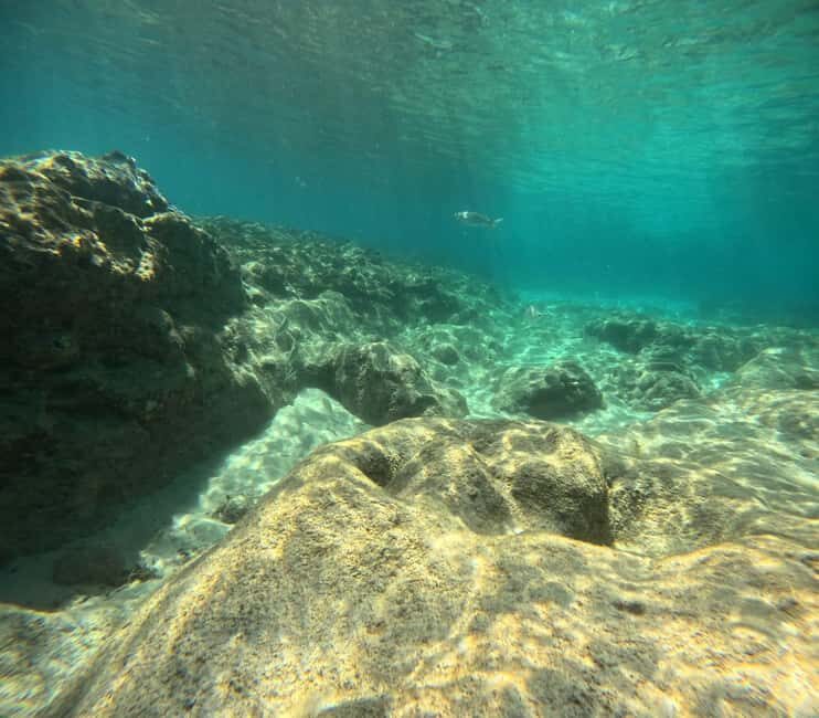 Morro Jable: Try Out Diving, No Prior Experience Needed! - The Itinerary: What You Can Expect