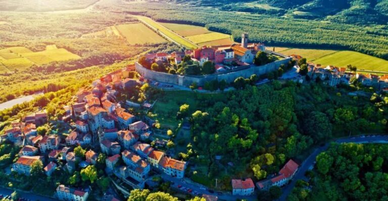 Motovun: The trail of Giants hiking tour & Fritule Tasting - The Sum Up