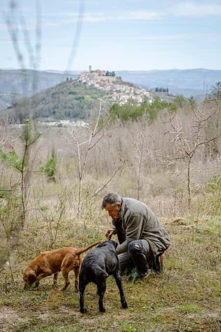 Motovun: Truffle Hunt & 3-Course Brunch with Locals