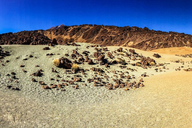 Mount Teide and Tenerife North with 5 Course Tasting Menu Private Tour - Frequently Asked Questions