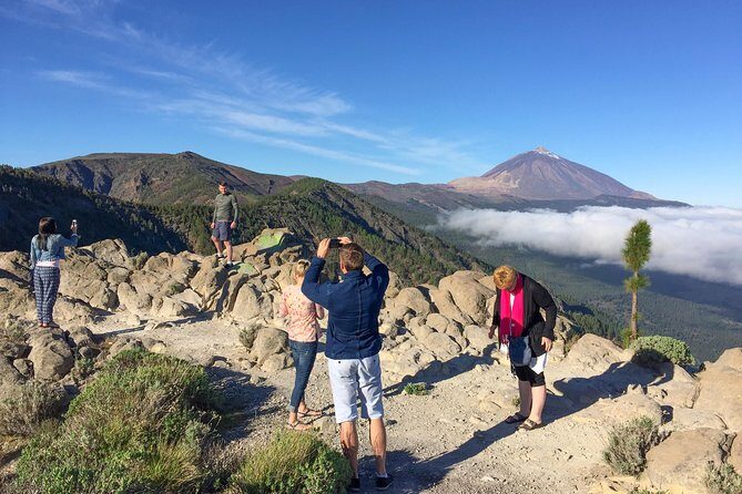 Mount Teide and Tenerife North with Food & Wine Tasting Private Tour - An In-Depth Look at Your Day in Tenerife