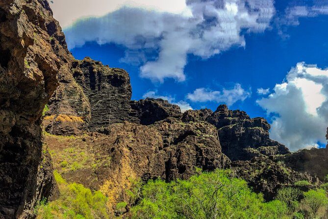 Mount Teide and Teno Country Park Private Tour - Why This Tour Offers Great Value