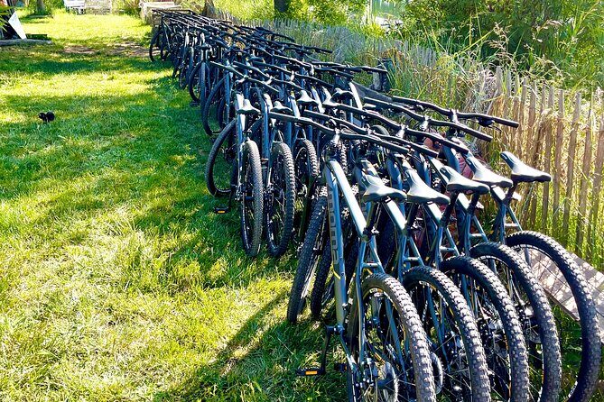 Mountain bike rental in Camargue - The Experience Provider and Booking