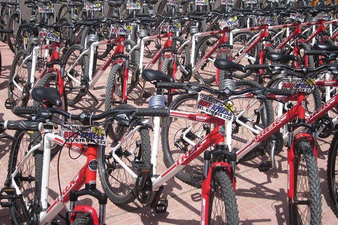 Mountain Bike Rental Tenerife - Who Should Consider This Bike Rental?