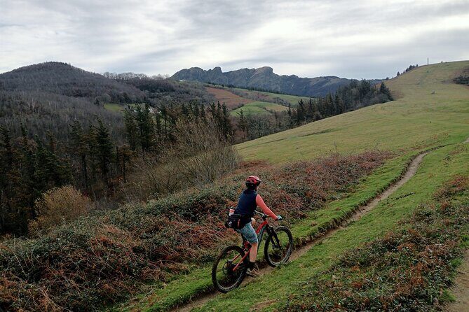 Mountain Bike Small Group Tour in San Sebastian - Exploring San Sebastián on Two Wheels: A Detailed Review